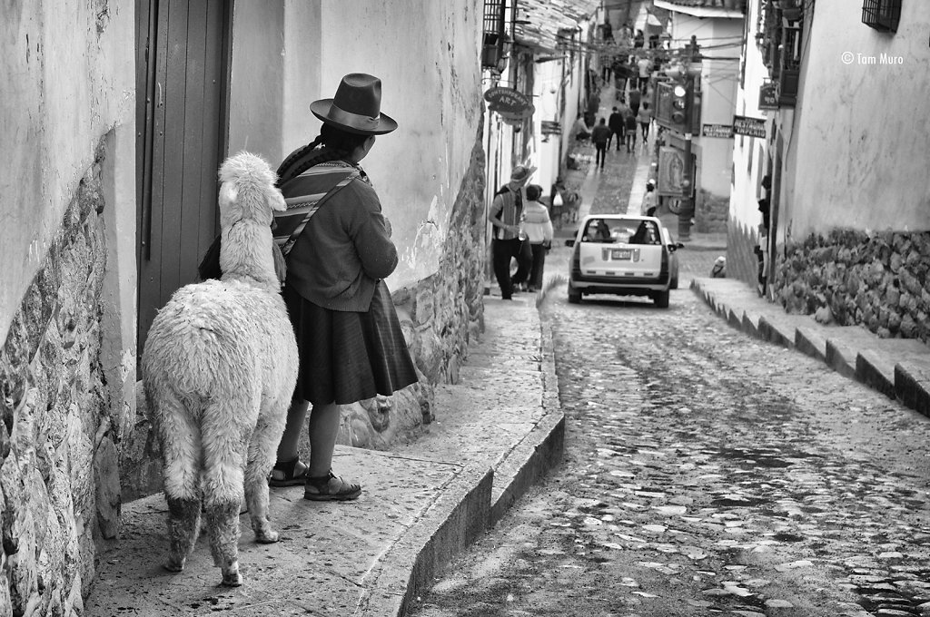 Señora con llama.