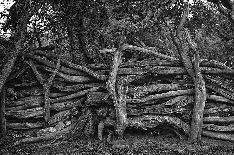 Naturaleza del caos.