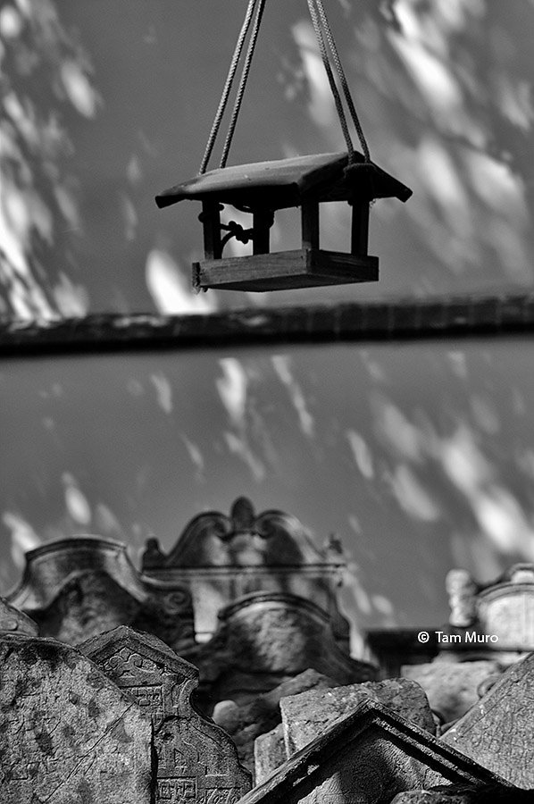 Cementerio judío