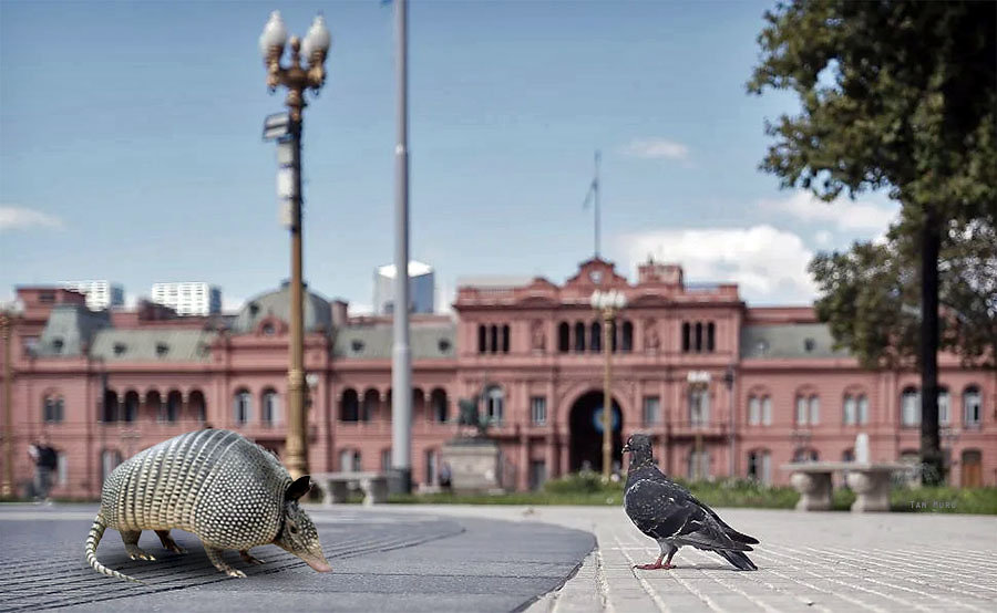 Plaza de Mayo