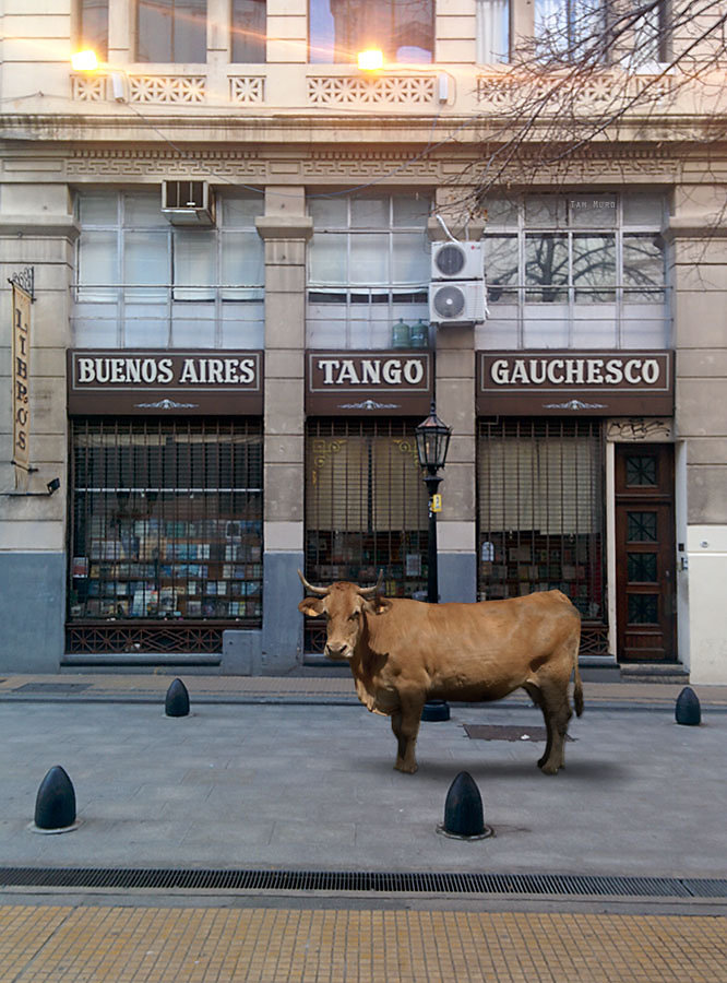 Librería de Ávila