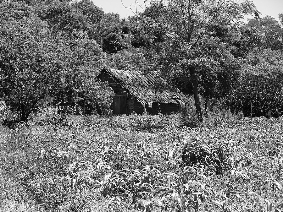 Ka'akupe